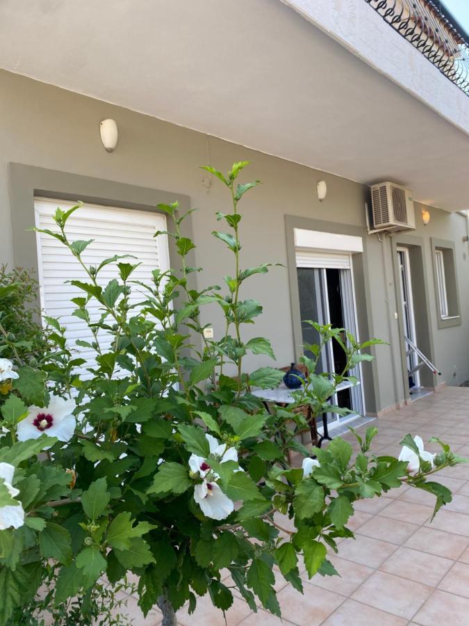 Ilisia Neapoli Apartments 1 Neápolis Exteriér fotografie